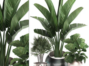 декоративные растения в цветочных горшках для интерьера 464 3D Модель