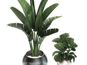 decorative plants in flower pots for the interior 464 3D Model