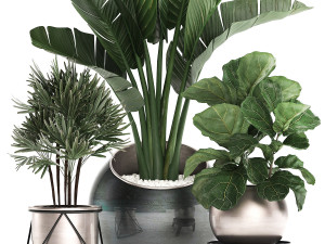 decorative plants in flower pots for the interior 464 3D Model