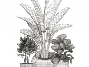 decorative plants in flower pots for the interior 464 3D Model