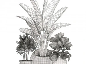 decorative plants in flower pots for the interior 464 3D Model