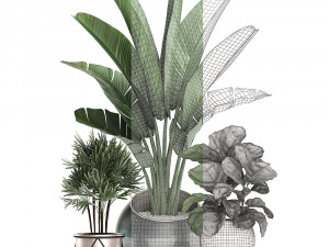 decorative plants in flower pots for the interior 464 3D Model
