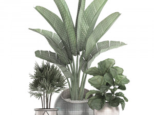 decorative plants in flower pots for the interior 464 3D Model