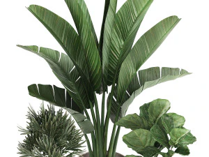 decorative plants in flower pots for the interior 464 3D Model