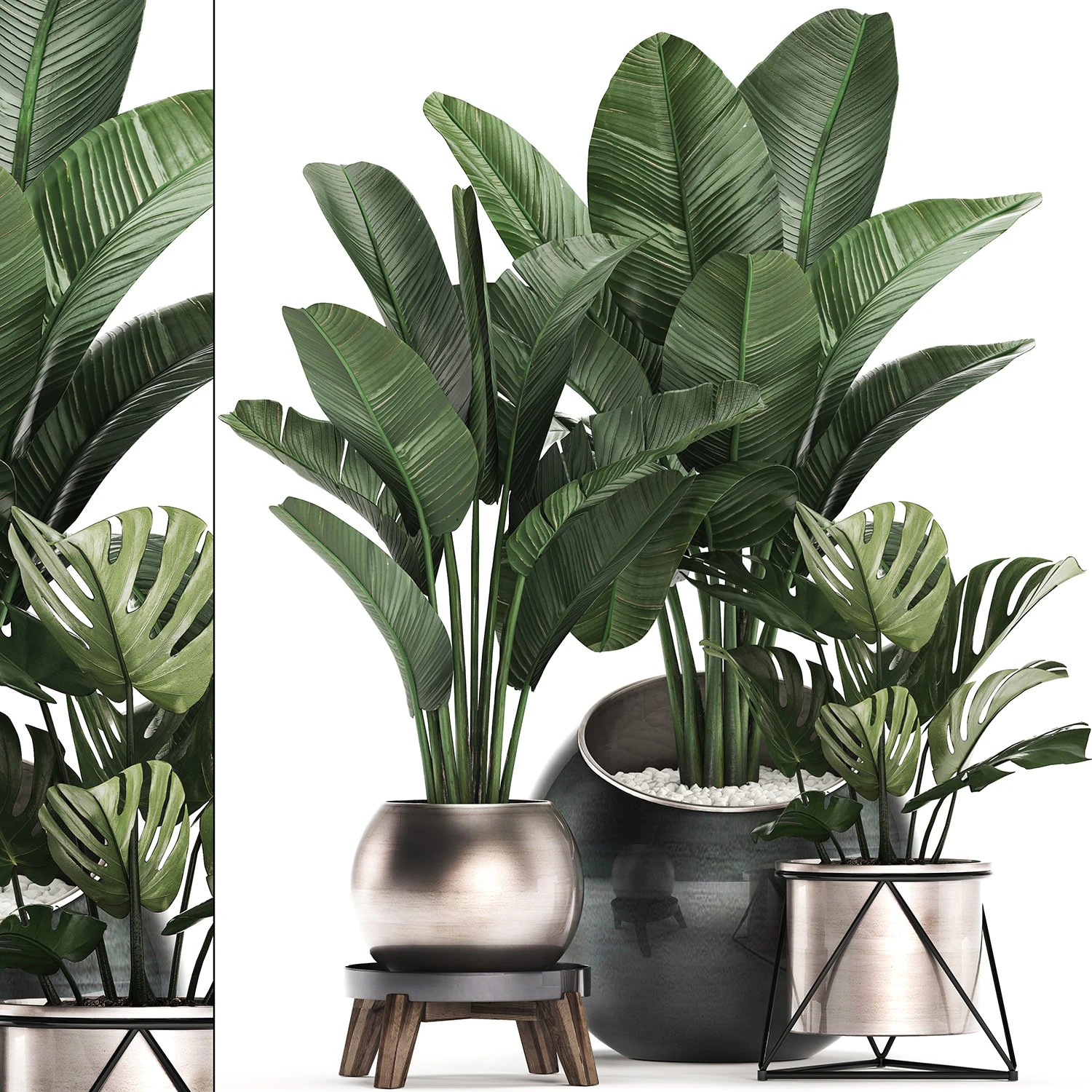 decorative plants in flower pots for the interior 465 3D Model .c4d .max .obj .3ds .fbx .stl .blend 