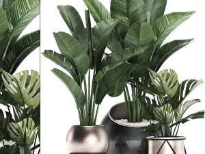decorative plants in flower pots for the interior 465 3D Model