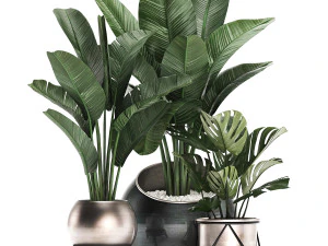 decorative plants in flower pots for the interior 465 3D Model