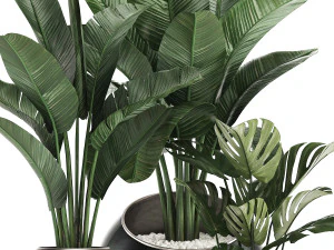 decorative plants in flower pots for the interior 465 3D Model