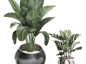 decorative plants in flower pots for the interior 465 3D Model