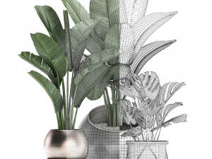 decorative plants in flower pots for the interior 465 3D Model