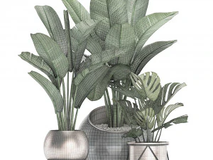 decorative plants in flower pots for the interior 465 3D Model