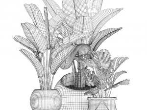 decorative plants in flower pots for the interior 465 3D Model