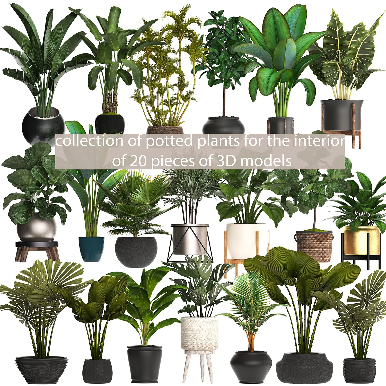 collection of potted plants for the interior of 20 pieces of s 3D Model .c4d .max .obj .3ds .fbx .stl .blend 