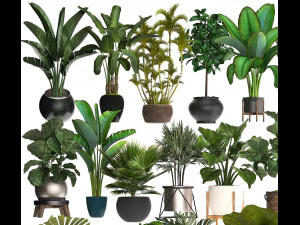 collection of potted plants for the interior of 20 pieces of s 3D Model