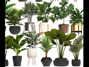 collection of potted plants for the interior of 20 pieces of s Modèle 3D