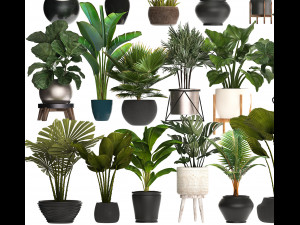 collection of potted plants for the interior of 20 pieces of s Modèle 3D