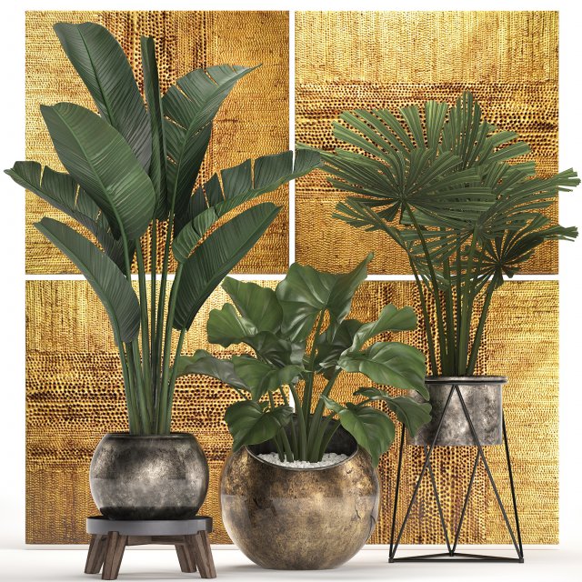 decorative plants in flower pots for the interior 466 Modelo 3D .c4d .max .obj .3ds .fbx .stl .blend 