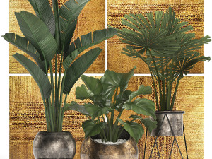 decorative plants in flower pots for the interior 466 3D Model
