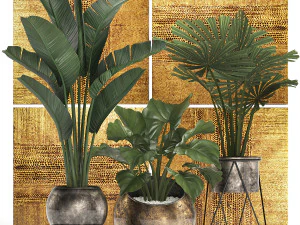 decoratieve planten in bloempotten voor interieur 466 3D Model