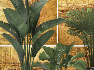 decorative plants in flower pots for the interior 466 Modelo 3D