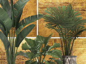 decorative plants in flower pots for the interior 466 Modelo 3D