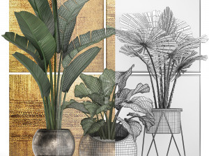 decorative plants in flower pots for the interior 466 Modelo 3D