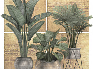 decorative plants in flower pots for the interior 466 Modelo 3D