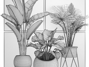 decorative plants in flower pots for the interior 466 Modelo 3D