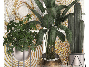 decorative plants in flower pots for the interior 467 3D Model