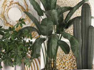 decorative plants in flower pots for the interior 467 3D Model