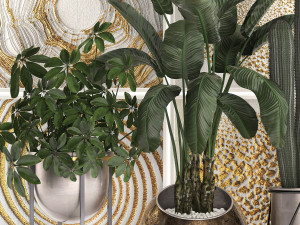 decorative plants in flower pots for the interior 467 3D Model