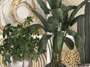 decorative plants in flower pots for the interior 467 3D Model