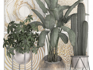 decorative plants in flower pots for the interior 467 3D Model