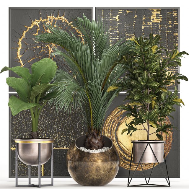 decorative plants in flower pots for the interior 468 3D Model .c4d .max .obj .3ds .fbx .stl .blend