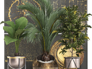 decorative plants in flower pots for the interior 468 Model 3D
