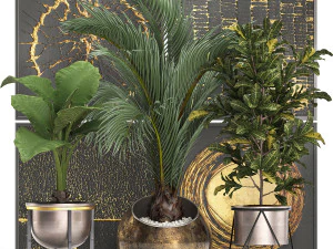 인테리어용 화분에 장식용 식물 468 3D 모델