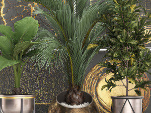 decorative plants in flower pots for the interior 468 3D Model