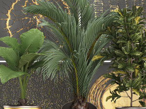 decorative plants in flower pots for the interior 468 3D Model