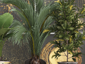 decorative plants in flower pots for the interior 468 3D Model