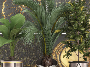decorative plants in flower pots for the interior 468 3D Model