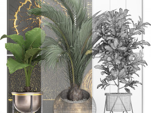 decorative plants in flower pots for the interior 468 3D Model