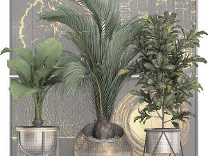 decorative plants in flower pots for the interior 468 3D Model
