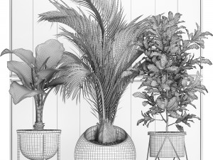 decorative plants in flower pots for the interior 468 3D Model