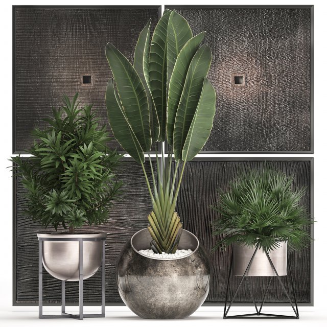 decorative plants in flower pots for the interior 469 3D Model .c4d .max .obj .3ds .fbx .stl .blend 