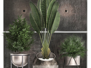 decorative plants in flower pots for the interior 469 3D Model