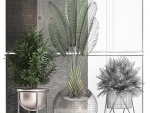 decorative plants in flower pots for the interior 469 3D Model