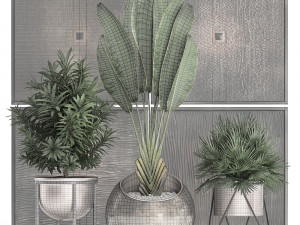 decorative plants in flower pots for the interior 469 3D Model