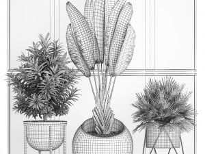 decorative plants in flower pots for the interior 469 3D Model