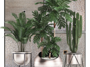 decorative plants in flower pots for the interior 470 3D Model