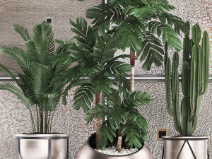 decorative plants in flower pots for the interior 470 3D Модель